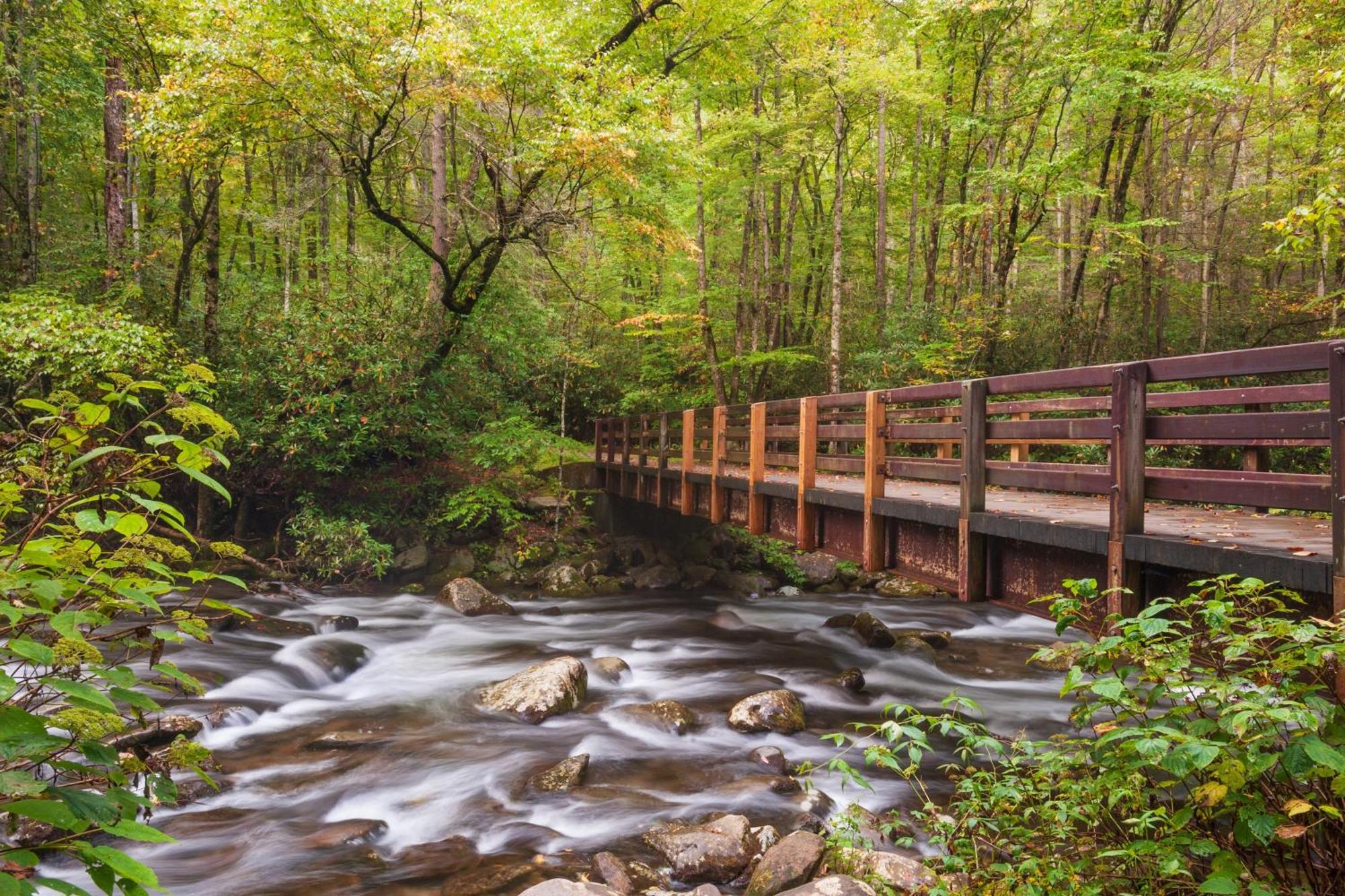 The Mason Jar, Hot Tub, Wifi, 1089 Free Tickets Each Paid Day, Dollywood And More! ピジョンフォージ エクステリア 写真